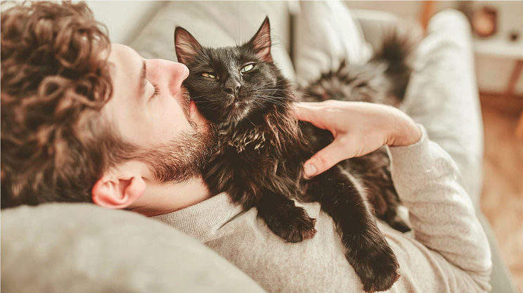 Mann entspannt auf Couch mit flauschiger schwarzer Katze auf seiner Brust liegend