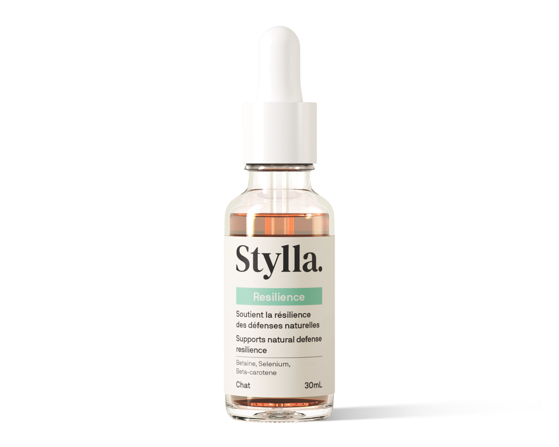 Stylla. Resilience - Cat