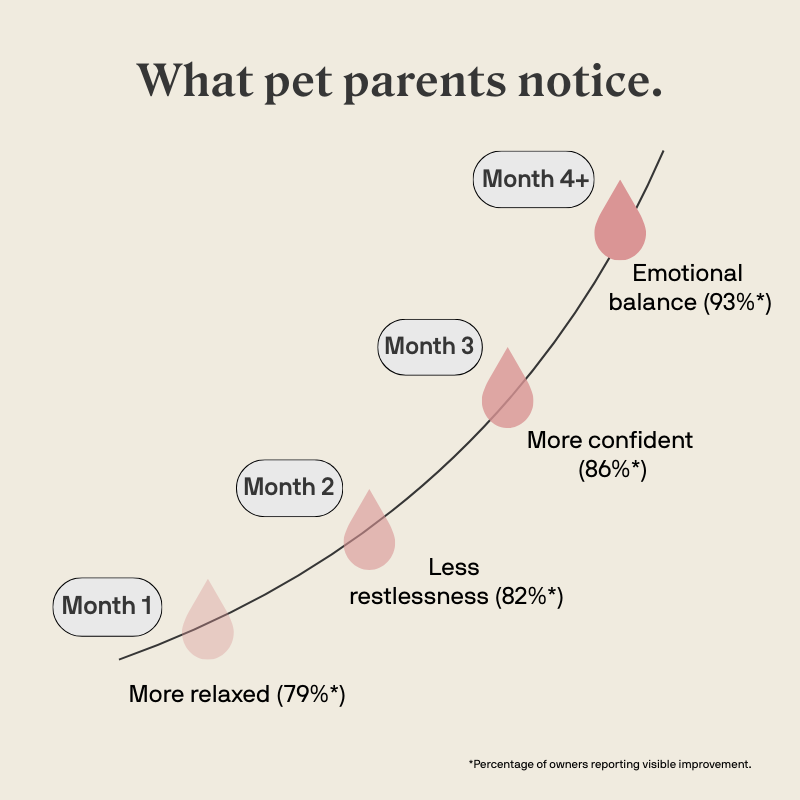 Stylla Calmness for dogs