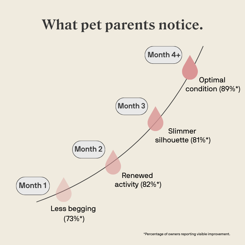 Stylla Ideal Weight for dogs