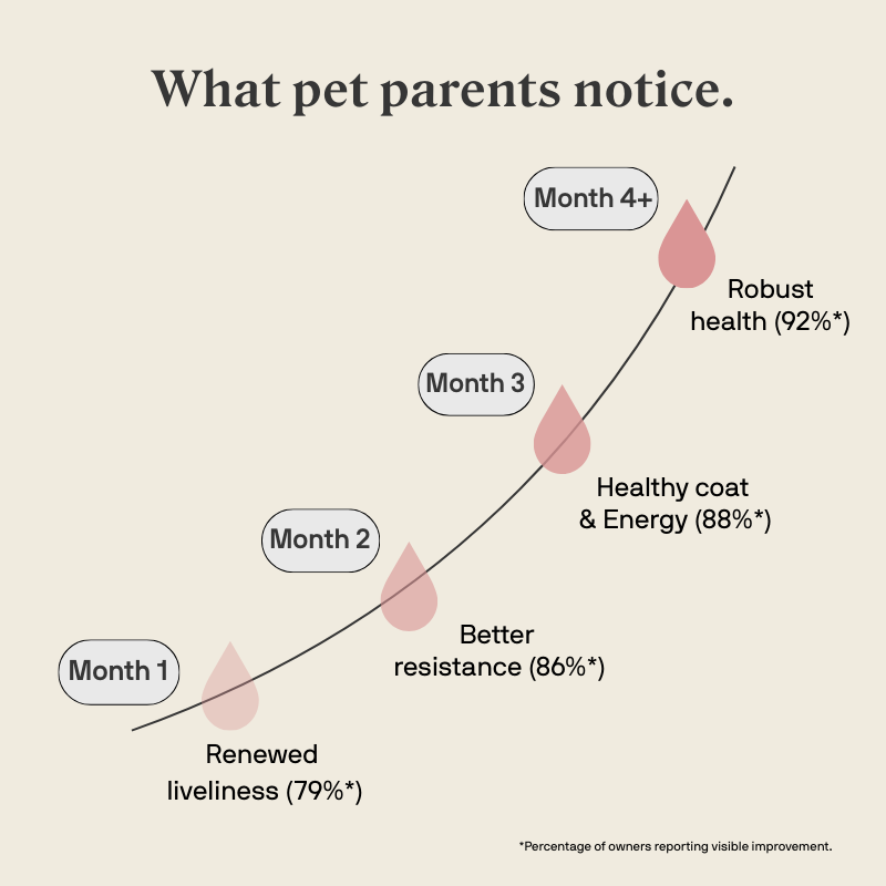 Stylla Resilience for dogs