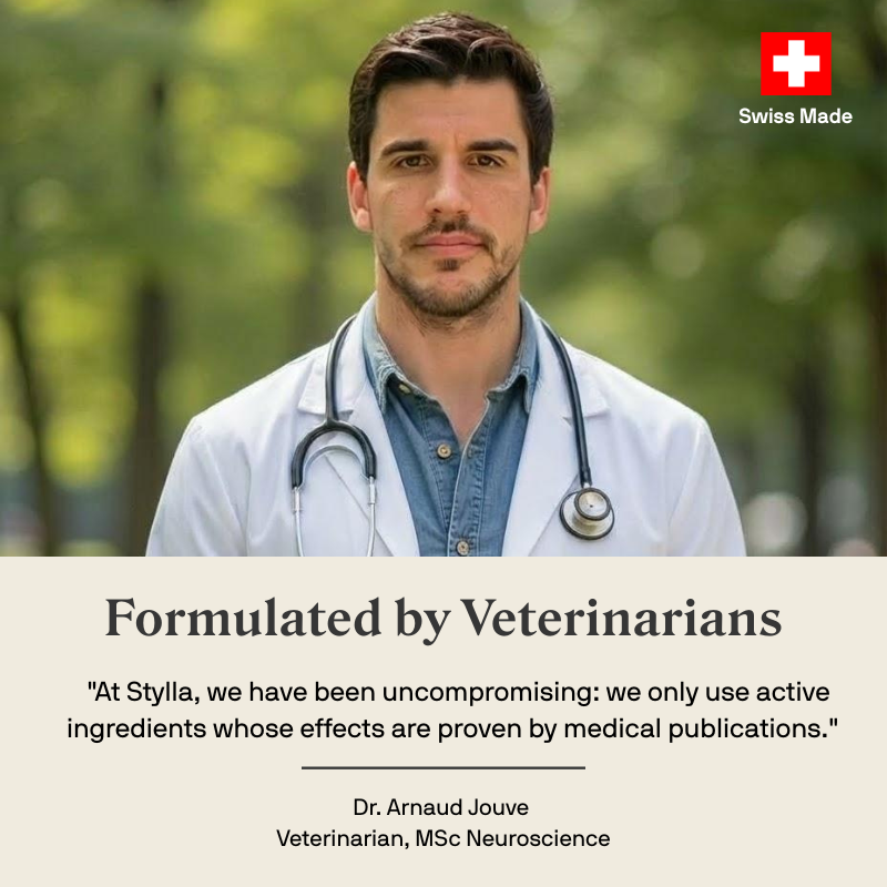 Stylla Calmness for cats