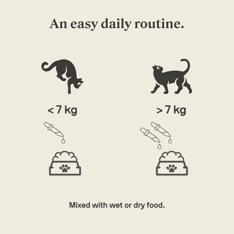 Stylla Calmness for cats