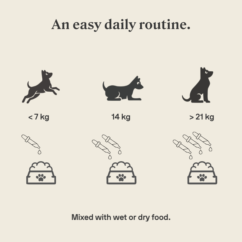 Stylla Mobility for dogs