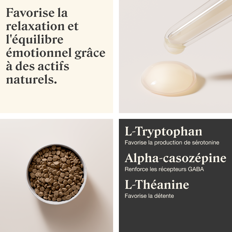 Stylla Calmness pour chiens