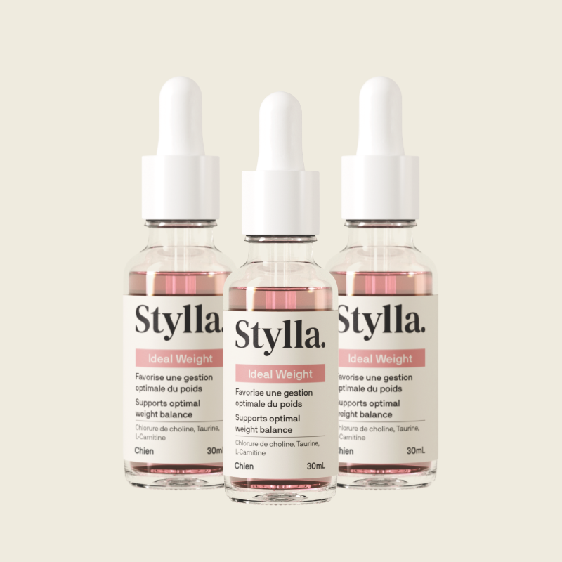3x - Stylla Ideal Weight pour chiens