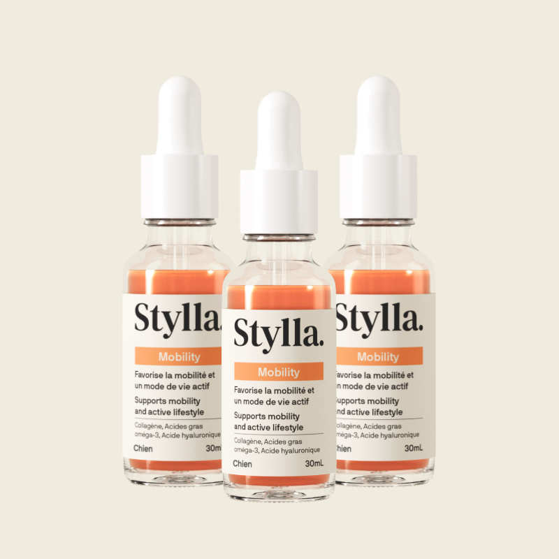 3x - Stylla Mobility for dogs