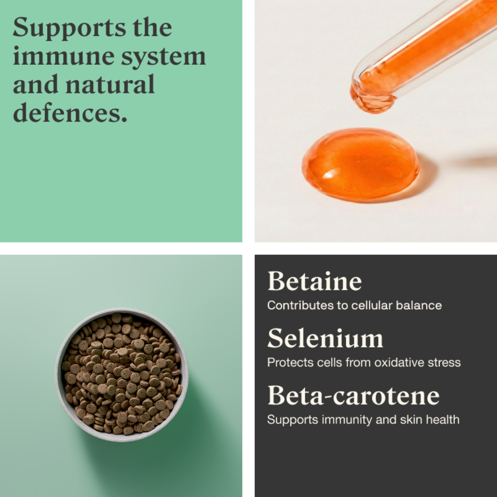 Stylla Resilience for cats