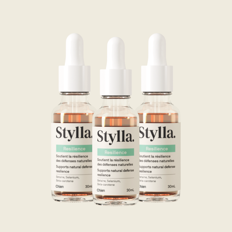 3x - Stylla Resilience pour chiens