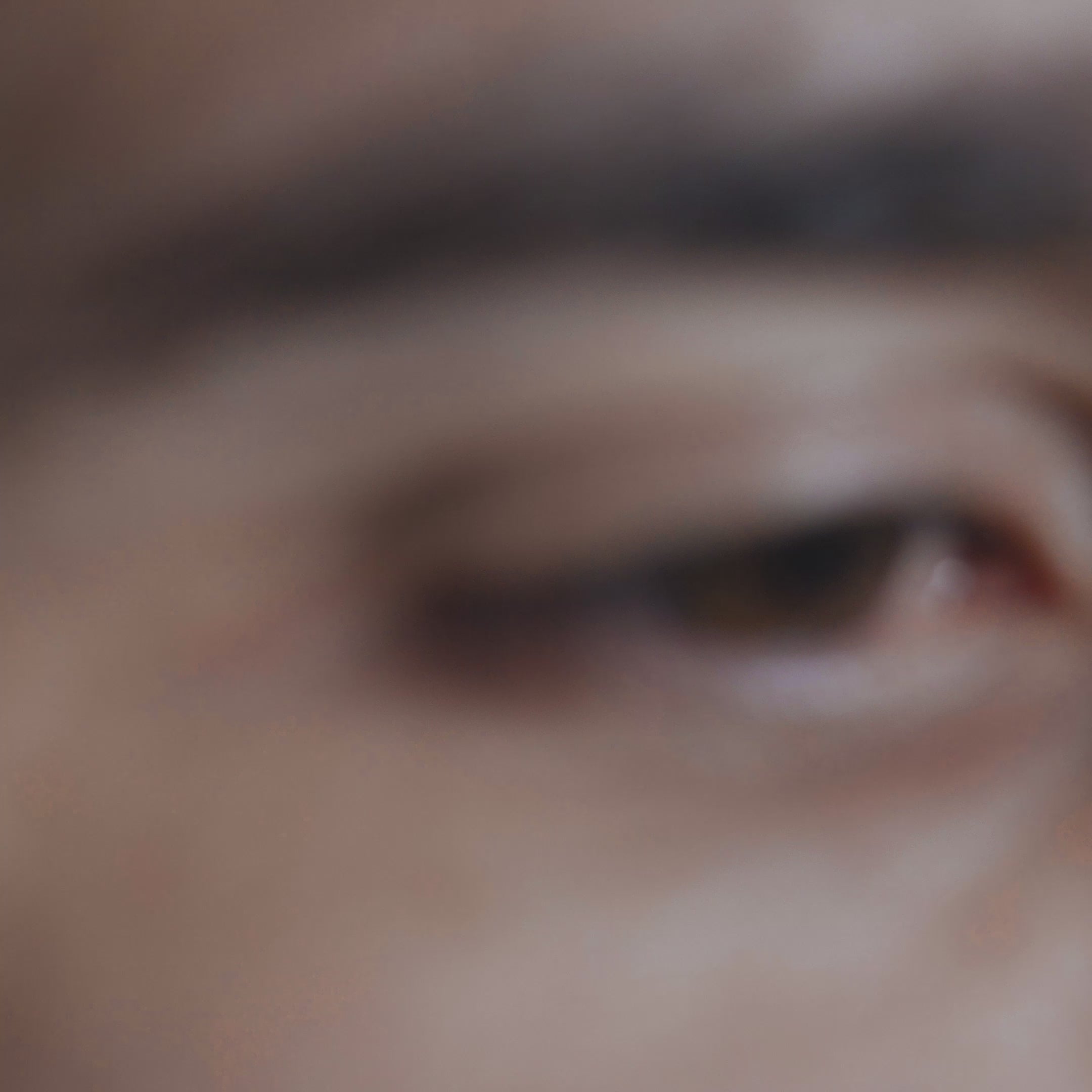 Video laden: Stylla Mobility für Hunde