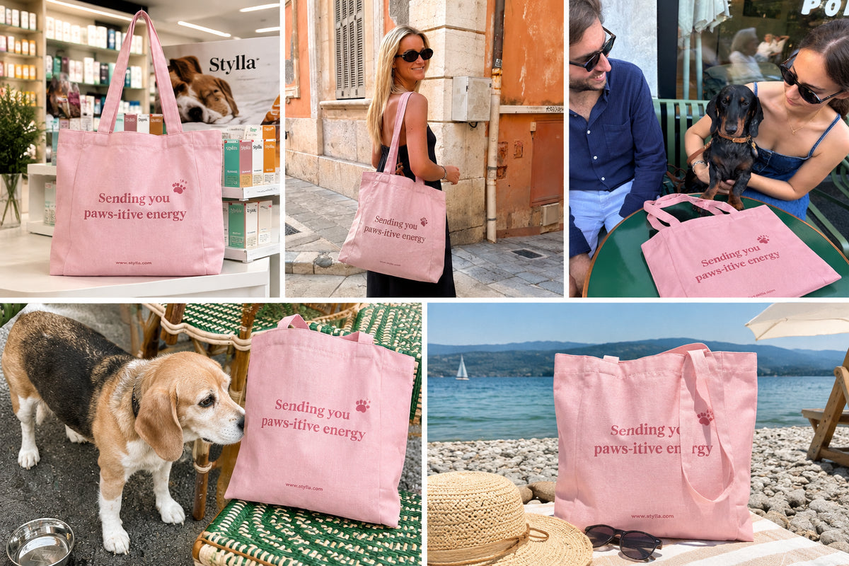 Stylla Tote Bag